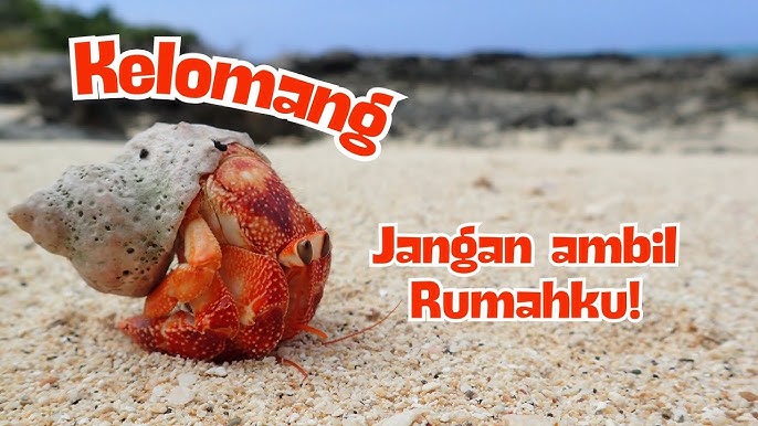 Qozoq ayollari ishtirokidagi porno videolar