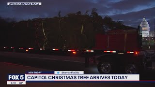 US Capitol Christmas Tree arrives in DC from North Carolina | FOX 5 DC