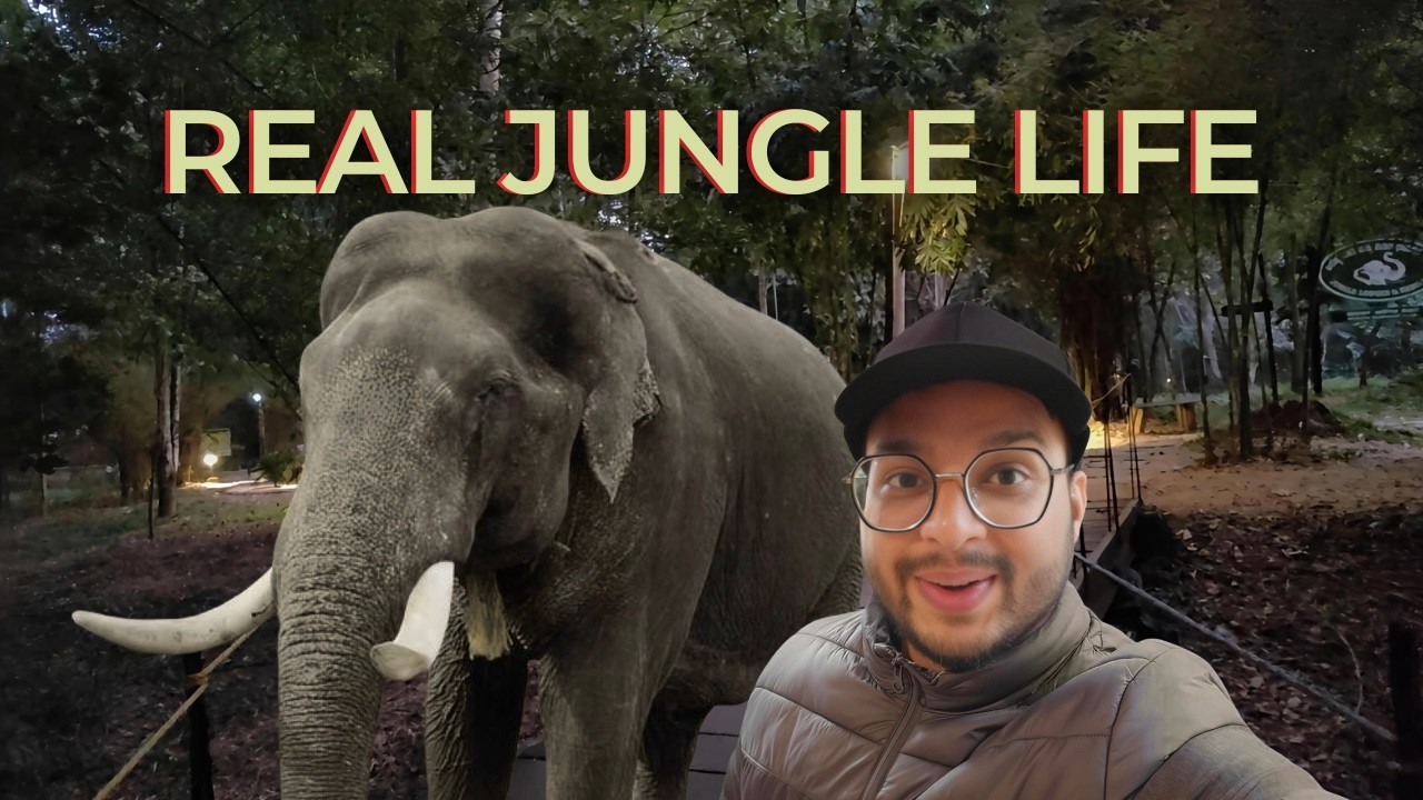 This Is Not a Normal Jungle Stay
