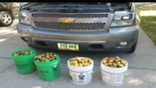 В Северной Дакоте обнаружили в машине 70 кг орехов! Белка!