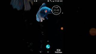 3d wallpaper beta fish screenshot 2