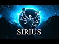 meganeko - Sirius