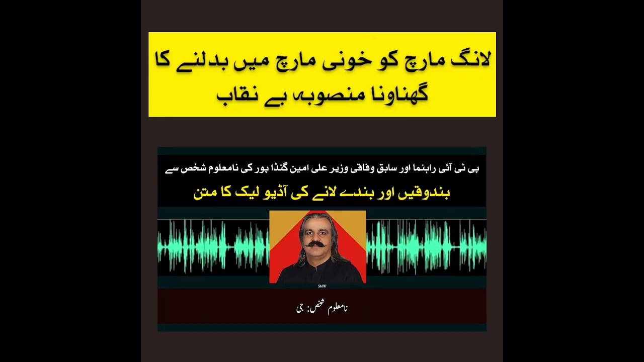 Ali Ameen Ghandapur Audio Leak