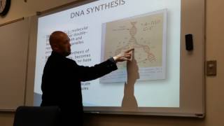 RadioBiology Lecture 2: Video 1 of 2