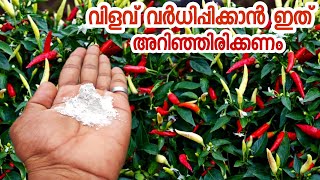 പച്ചക്കറികളുടെ വിളവ് വർദ്ധിക്കാൻ ഇത് അറിഞ്ഞിരിക്കണം|krishi malayalam|pachakkari krishi|gardening