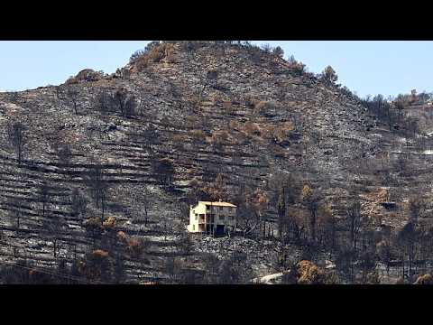 Spanien und Frankreich kämpfen gegen Waldbrände: ...