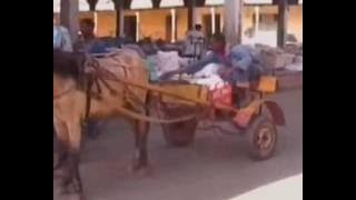 I LOVE ASMARA                              (by Renato Ferrari)