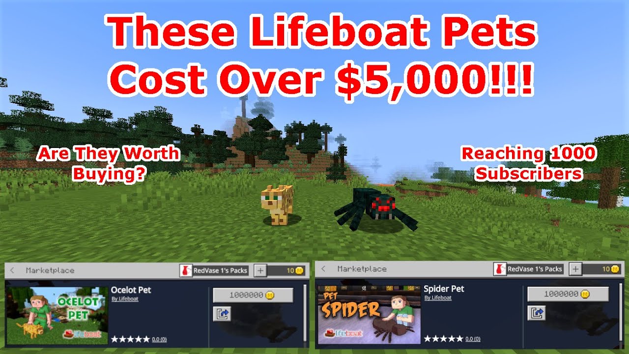 Lifeboat Network Server Jobs Ecityworks