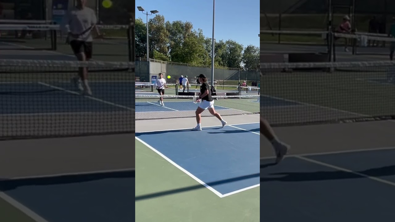 DinkSmart Presents Pickletopia iPickle