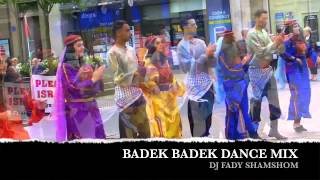 طونى كيوان - بدك ما بدك  Toni kiwan - badik badik mix fady shamshom