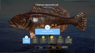 🐳Фармим монеты перед обновлением на Норвежском Море🐳 | СТРИМ | Русская Рыбалка 4 | РР4