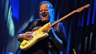 Video thumbnail of "Walter Trout - The Sky is Falling Down"