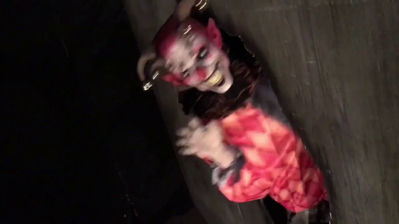Wall Creeper Clown
