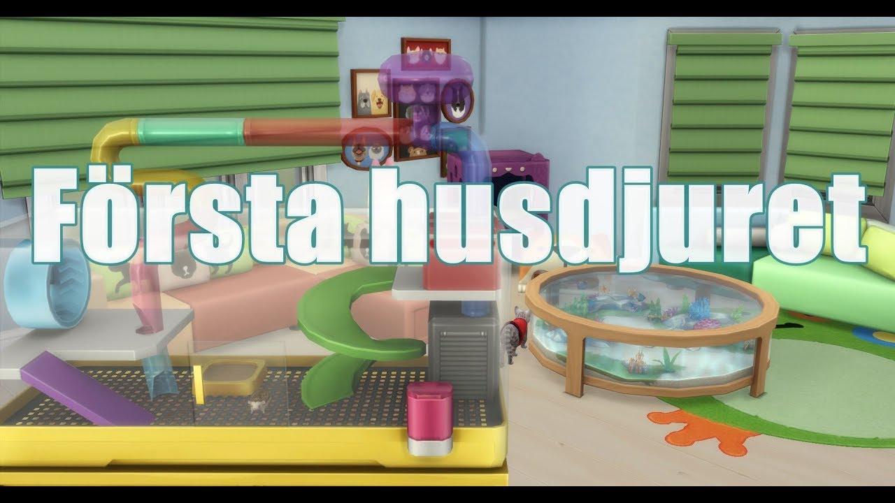 The Sims 4 Första Husdjuret