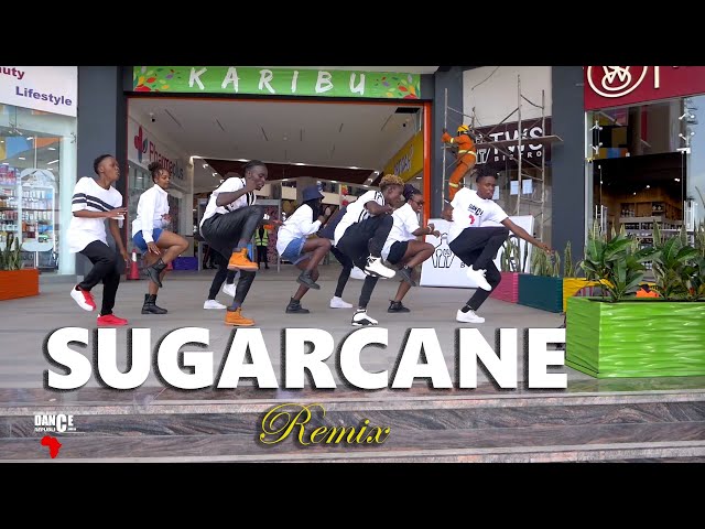 Sugarcane Remix - Camidoh ft King Promise (Official Dance Video) | Dance Republic Africa class=