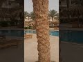 Hotel Long beach resort Hurgada обзор