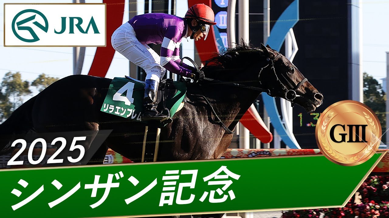 シンザン　昭和40年天皇賞 競馬パネル 日刊スポーツ シンザン 昭和40年天皇賞 競馬パネル 日刊スポーツ 競馬写真