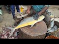 6KG, Rs3000, CC100 | Queen Fish Cutting & Chopping | Kasimedu Fish Market | Cutting Types 360*