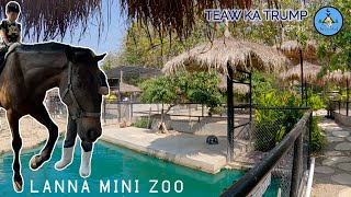 เที่ยวกะทรัมป์ | Lanna Mini Zoo