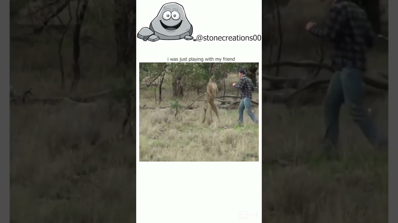 #animalcomedyvideo #ytshorts #youtube #animals