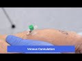 Venous Cannulation