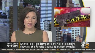 State Police Investigating Deadly Fayette Co. Shooting