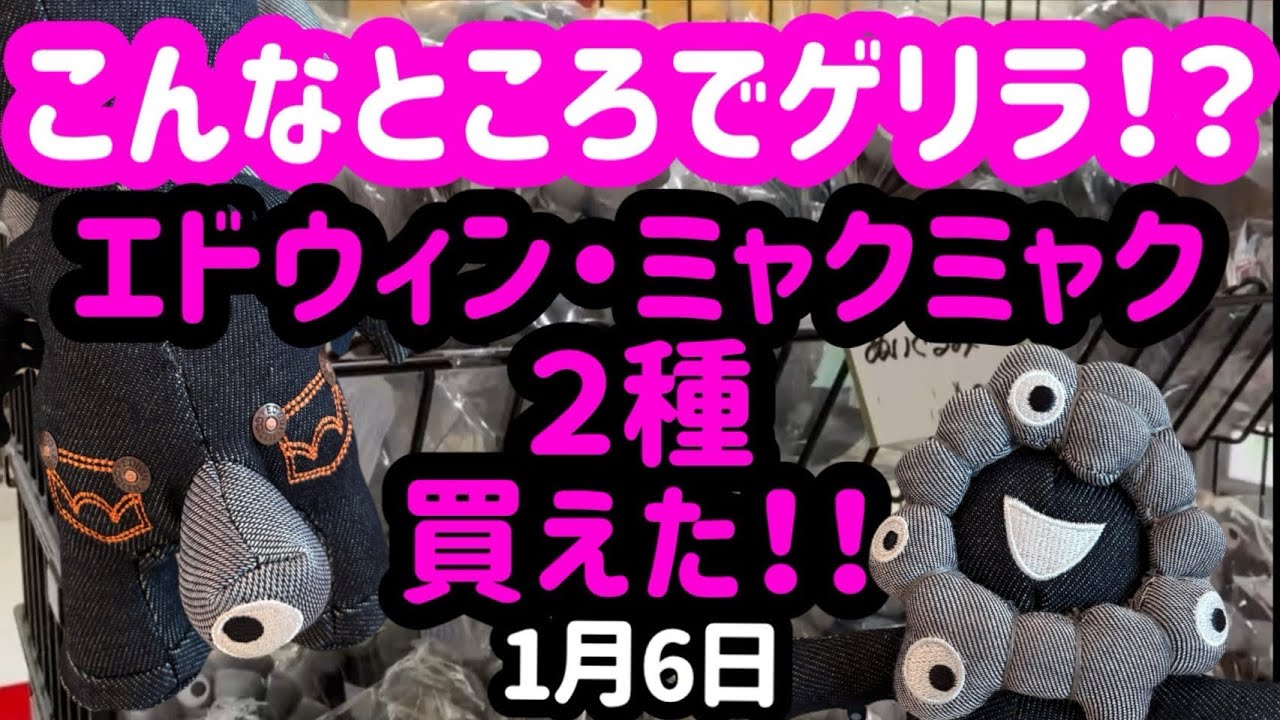 【衝撃の入荷】エドウィン黒ミャクミャクがまさかの場所で買えました！！