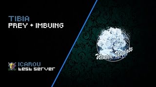 Tibia - 50%+ Damage (Prey) + Critical Imbuing (TEST SERVER) Net Worth