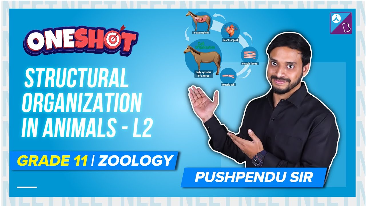 Structural Organisation in Animals Class 11 Biology One Shot (L-2 ...