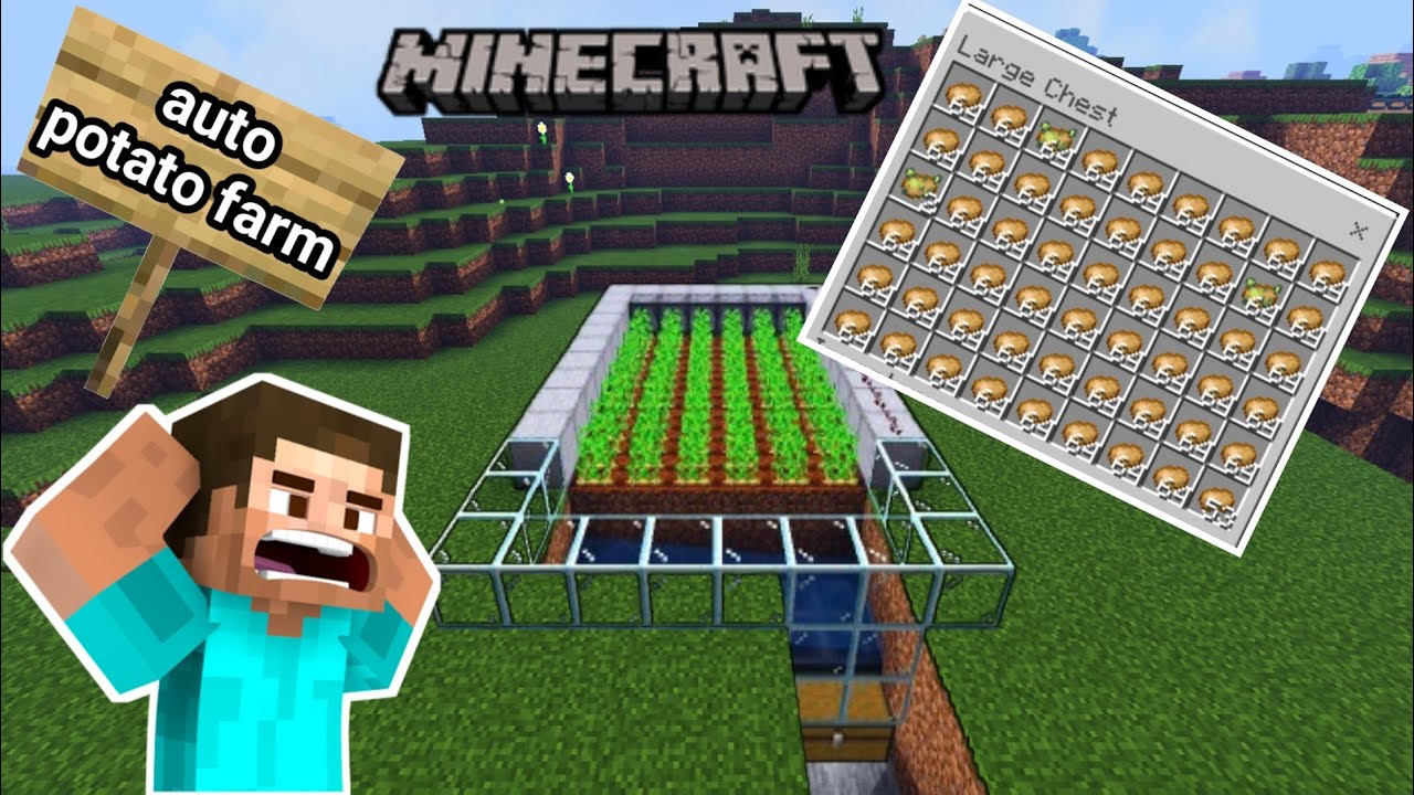 How to make an Auto potato Farm in Minecraft - YouTube