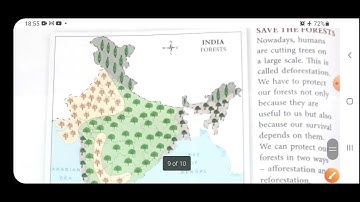 Our forests,ch 12 , My big book of social studies, class 4,SSt.