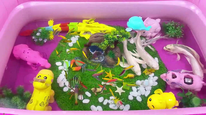 Let's explore what fish and sea creatures there are:sharks,jellyfish#goldfish#animals#viral videos