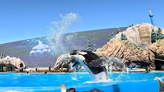 Orca Encounter show (full length show) at Sea World San Diego (March 29th, 2024)