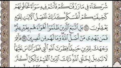 سورة الروم الصفحة 407 من الاية 25 الى 32 عبدالباسط عبدالصمد مجود