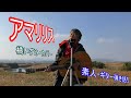 アマリリス(橘いずみ)カバー / ギター弾き語り