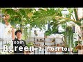【観葉植物×インテリア】Bgreen店2階フロアが新たにオープン！！こだわり抜いた植物ディスプレイをご紹介！