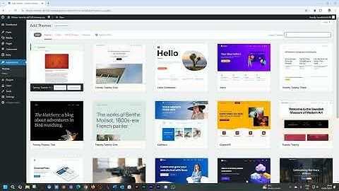 Choosing a WordPress Theme | Brizy Video Documentation