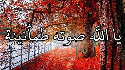 عبد الرحمن مسعد سورة الاعلى وسورة المزمل وسورة الغاشية كاملة تلاوة هادئة عذبة ستاخذك لعالم اخر