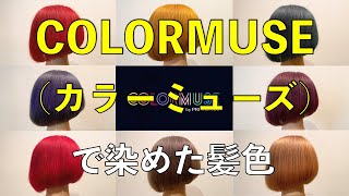 COLORMUSE（カラーミューズ）で染めた髪色