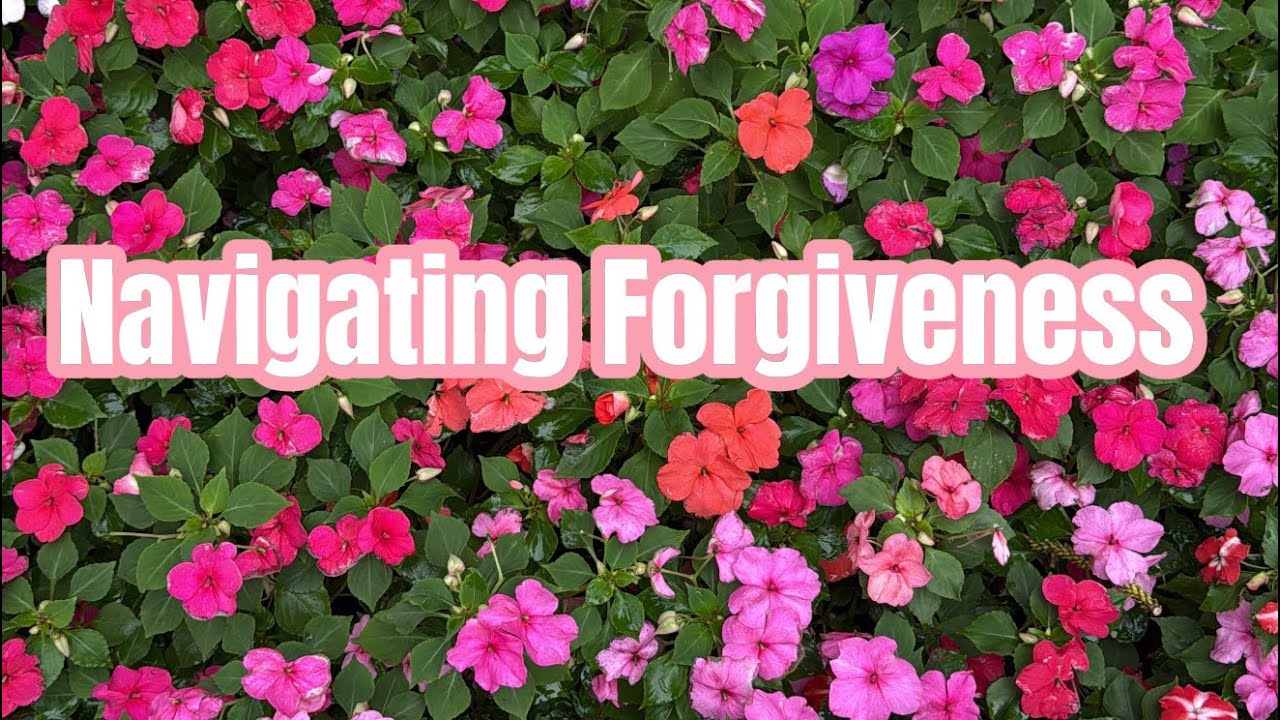 Navigating the journey of FORGIVENESS 