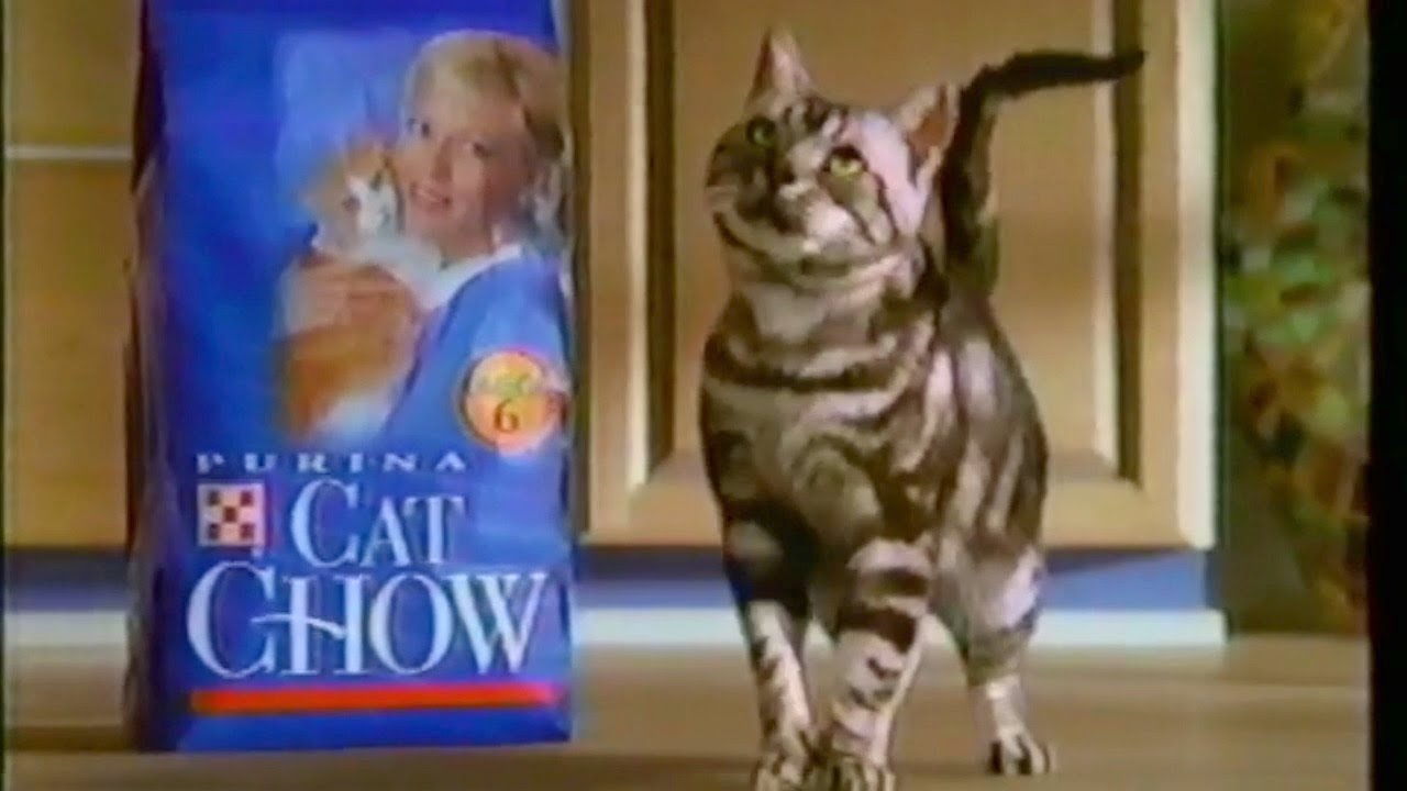 Purina Cat Chow Commercial 1990s YouTube