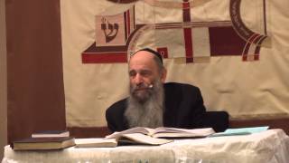 Are The 613 Commandments an Annual Obligation? - Ask The Rabbi Live with Rabbi Mintz