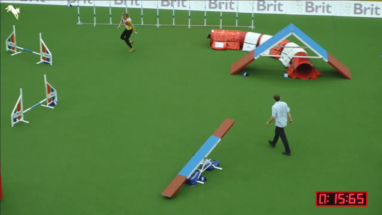 knpv berger hollandais Brainpools Mind over Matter - FCI Agility World Championship 2017