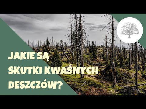 Wideo: Jakie są niebezpieczeństwa związane z wpływem kwaśnych deszczy na systemy wodne?