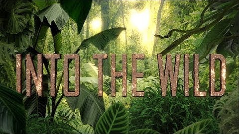 Theme Teaser - Waterloo Engineering Orientation 2022