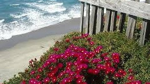 استمع إلي اجمل تلاوة خاشعة تجلى فيها الإبداع