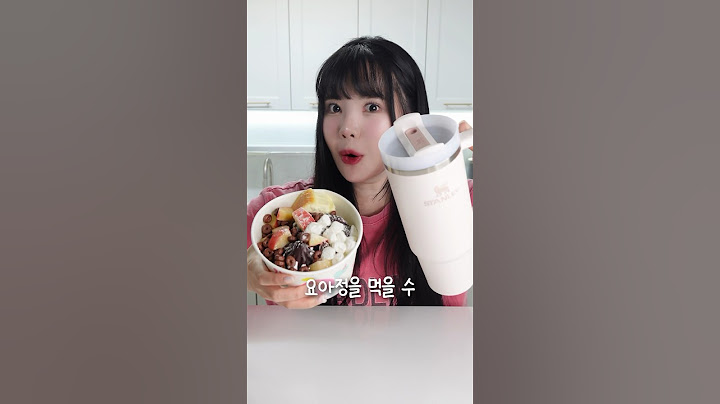 절대 안녹는 스탠리에 요아정을 넣고 방콕여행을 간 여자