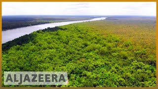 UNESCO labels Sundarbans of Bangladesh ‘World Heritage in Danger’