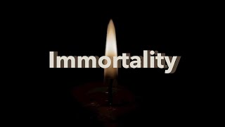 Immortality | Absolute Idealist Philosophy screenshot 2