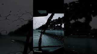 Bir Sana Bir De Bana - Kuzey